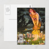 Midzomeravond - Shih Tzu (P) Briefkaart (Voorkant / Achterkant)