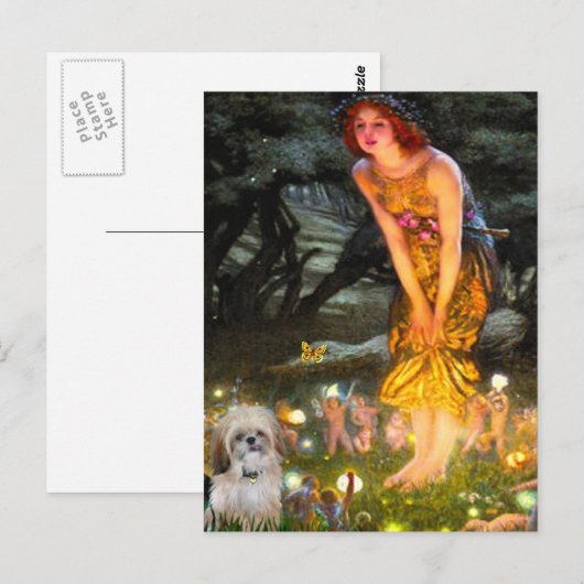 Midzomeravond - Shih Tzu (P) Briefkaart (Voorkant / Achterkant)
