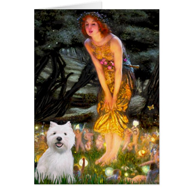Midzomeravond - Westie 2 (Voorkant)