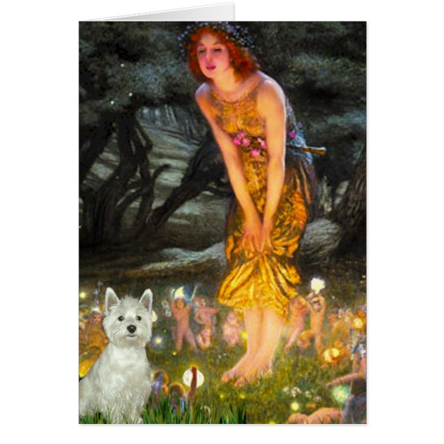 Midzomeravond - Westie (S) (Voorkant)