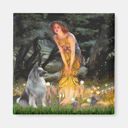 Midzomers Eve - Keeshond Magneet (Voorkant)