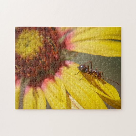 mier legpuzzel (Horizontaal)