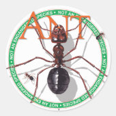 mier-Sticker Ronde Sticker (Voorkant)