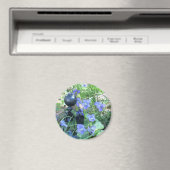 Mier & Viooltjes Magneet (Insitu (Vaatwasser))