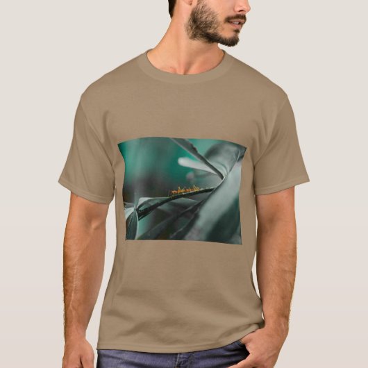 Miere Grafische T-Shirt (Voorkant)