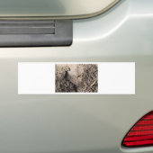 Mieren gaan marcheren bumpersticker (Op auto)