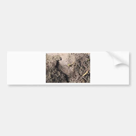 Mieren gaan marcheren bumpersticker (Voorkant)