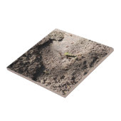 Mieren gaan marcheren tegeltje (Zijkant)