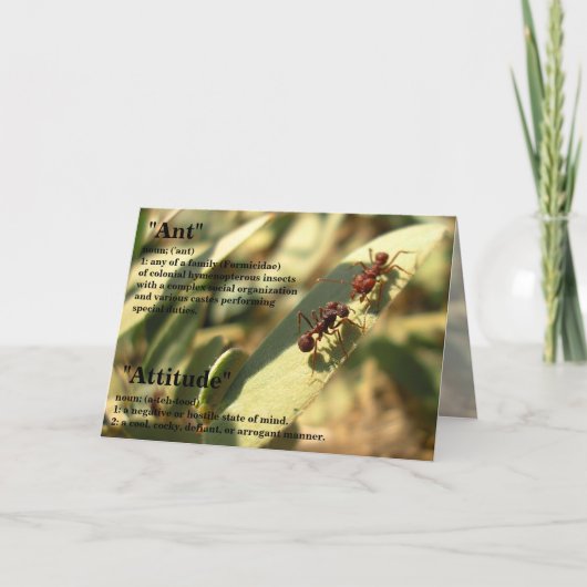 Mieren & Houding - Wenskaart #2 Kaart (Voorkant)