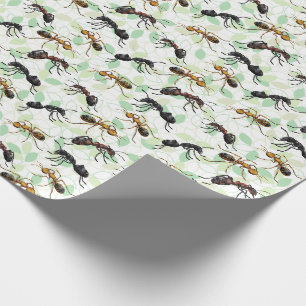 Mieren Insecten Bugs Inpakpapier