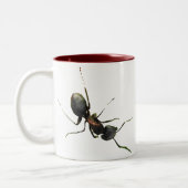 Mieren op mijn Mok (Links)