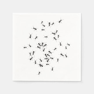 Mieren overal servet