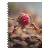 Mieren Raspberry teamwork Notitieboek (Voorkant)