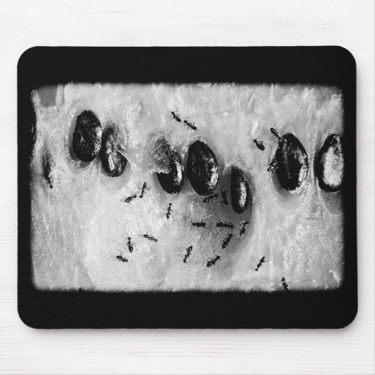 mieren surfen muismat (Voorkant)