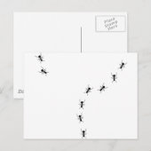 mierikoon briefkaart (Voorkant / Achterkant)