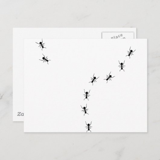 mierikoon briefkaart (Voorkant / Achterkant)