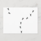 mierikoon briefkaart (Voorkant)