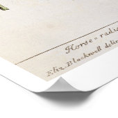 Mierikswortel, bord 415 uit 'A Curious Herbal', pu Poster (Hoek)