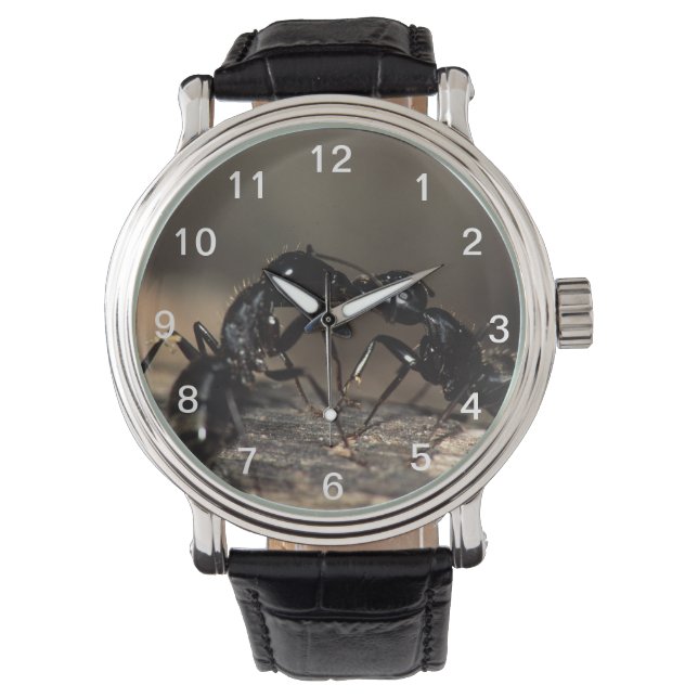 mierzoenen horloge (Voorkant)