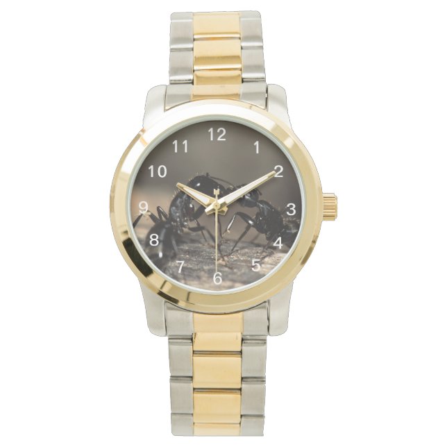 mierzoenen horloge (Voorkant)