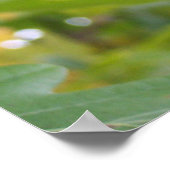 Mighty Acorn in een eikenboom Poster (Hoek)