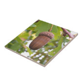 Mighty Acorn in een eikenboom Tegeltje (Zijkant)