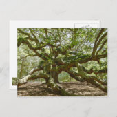 Mighty Angel Oak Briefkaart (Voorkant / Achterkant)