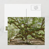 Mighty Angel Oak Briefkaart (Voorkant / Achterkant)