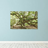Mighty Angel Oak Canvas Afdruk (Insitu (Houten vloer))