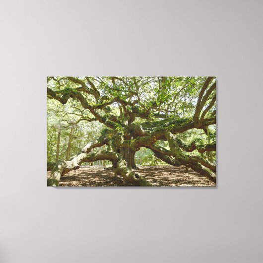 Mighty Angel Oak Canvas Afdruk (Voorkant)