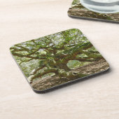 Mighty Angel Oak Drankjes Onderzetter (Linkerzijde)