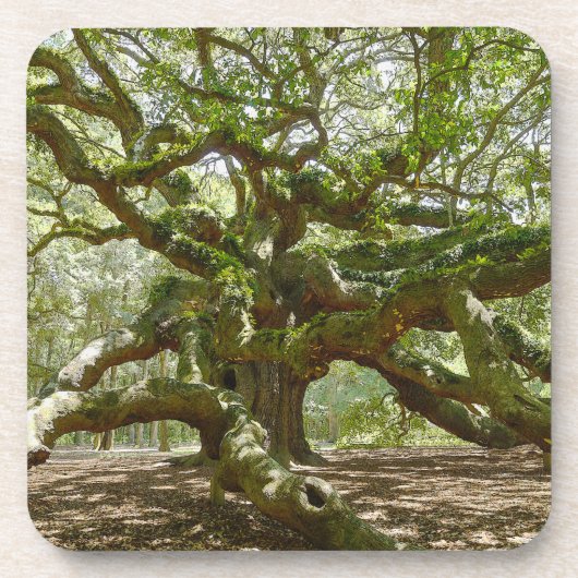 Mighty Angel Oak Drankjes Onderzetter (Voorkant)