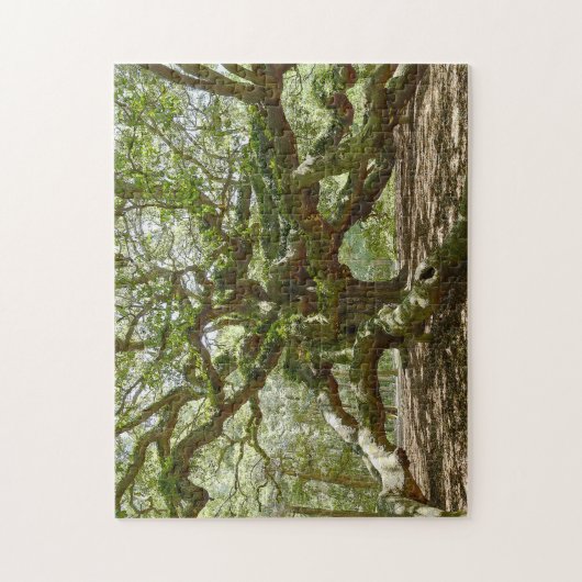 Mighty Angel Oak Legpuzzel (Verticaal)