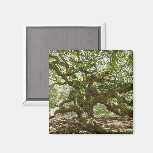 Mighty Angel Oak Magneet (Voorkant / Achterkant)