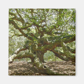 Mighty Angel Oak Magneet (Voorkant)