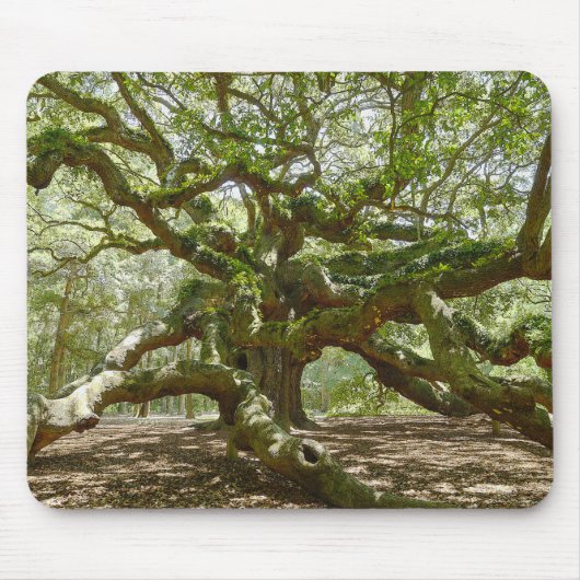 Mighty Angel Oak Muismat (Voorkant)