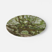 Mighty Angel Oak Papieren Bordje (Gekanteld)