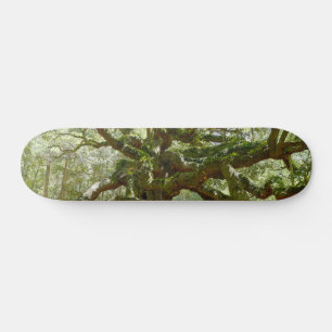 Mighty Angel Oak Persoonlijk Skateboard