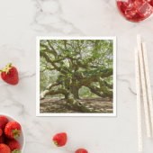 Mighty Angel Oak Servet (Insitu)