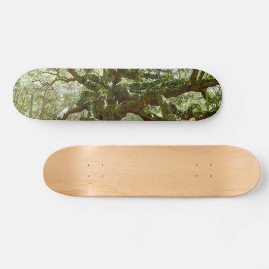 Mighty Angel Oak Skateboard (Horizontaal)