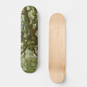 Mighty Angel Oak Skateboard (Voorkant)