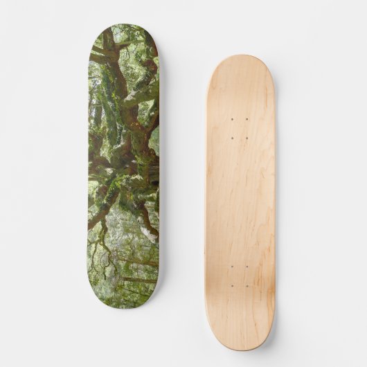 Mighty Angel Oak Skateboard (Voorkant)