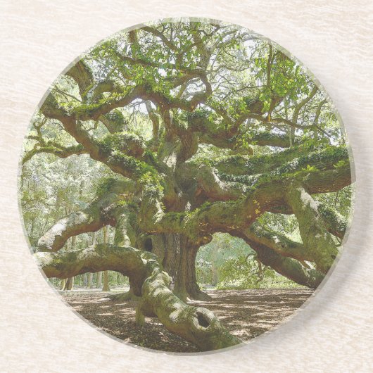 Mighty Angel Oak Zandsteen Onderzetter (Voorkant)