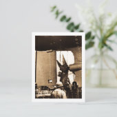 Mighty Fitz - Rudder & Prop Briefkaart (Staand voorkant)