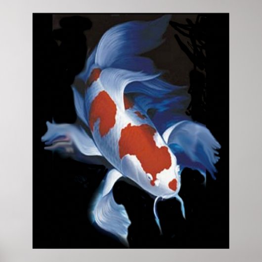 Mighty Koi Poster (Voorkant)