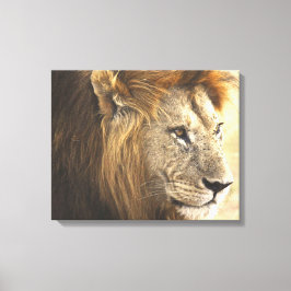 Mighty Lion Canvas Afdruk