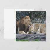 Mighty Lion Love (Voorkant / Achterkant)