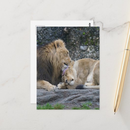 Mighty Lion Love Briefkaart (Voorkant / Achterkant in situ)