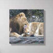 Mighty Lion Love Canvas Afdruk (Voorkant)