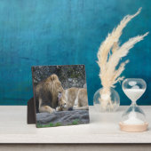 Mighty Lion Love Fotoplaat (Insitu)